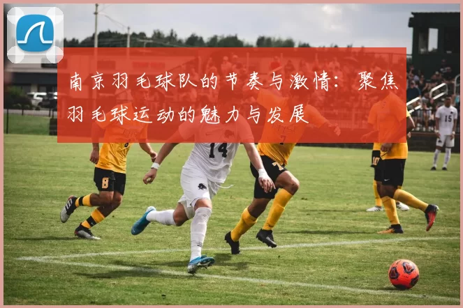南京羽毛球队的节奏与激情：聚焦羽毛球运动的魅力与发展