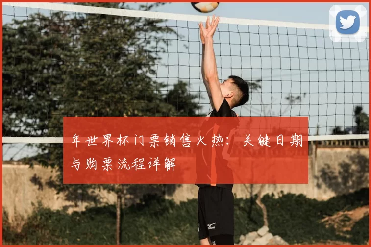 年世界杯门票销售火热：关键日期与购票流程详解