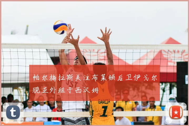 帕尔梅拉斯关注布莱顿后卫伊戈尔现正外租于西汉姆
