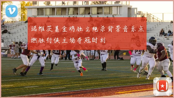 诺维茨基金鸡独立绝杀背景音乐点燃独行侠主场夺冠时刻