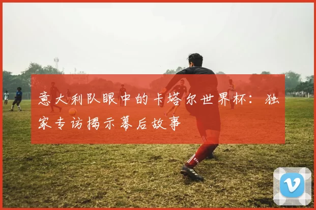 意大利队眼中的卡塔尔世界杯：独家专访揭示幕后故事