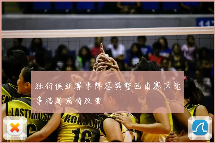 独行侠新赛季阵容调整西南赛区竞争格局或将改变