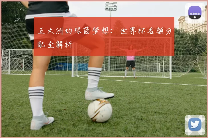 五大洲的绿茵梦想:世界杯名额分配全解析