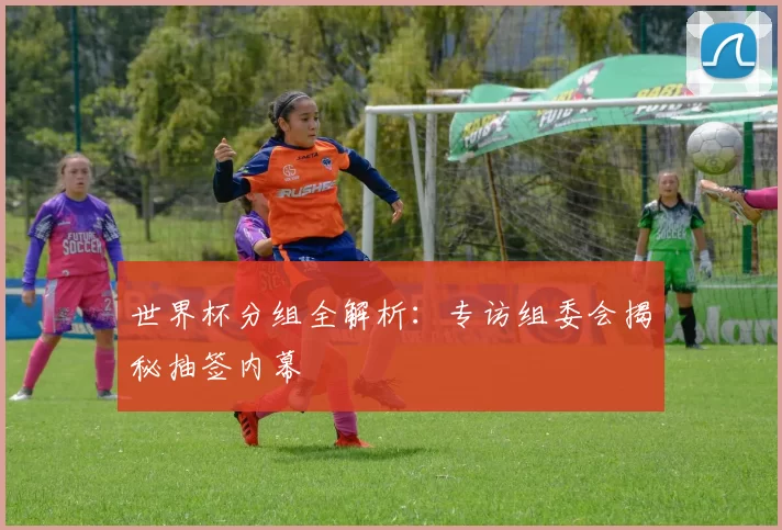 世界杯分组全解析:专访组委会揭秘抽签内幕