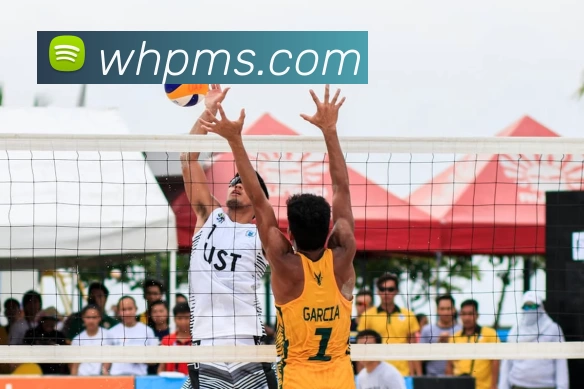 亚搏平台生态图